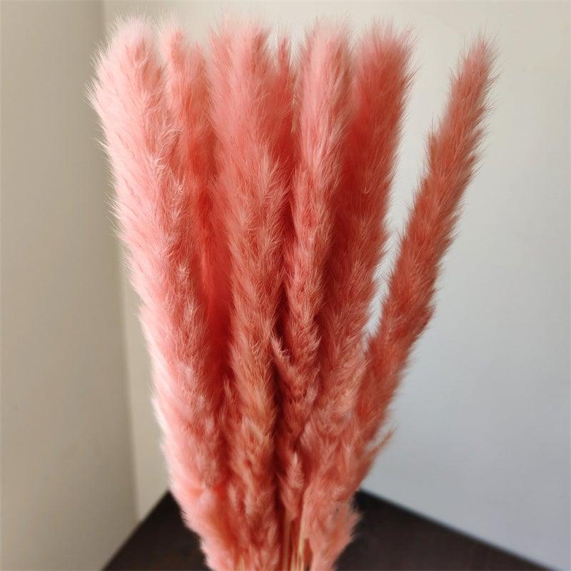 Dried Bulrush Grass Bouquet, 30 Stems