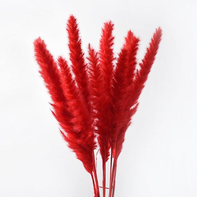 Dried Bulrush Grass Bouquet, 30 Stems