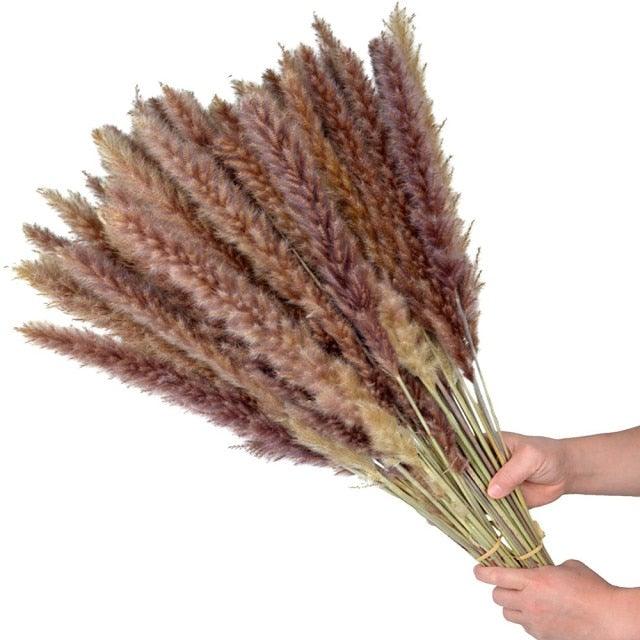 Natural Dried Pampas Grass Bouquet
