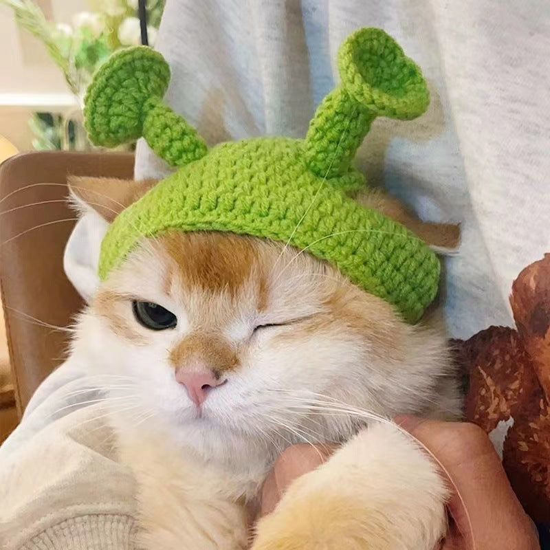 Knitted Cat & Dog Hat