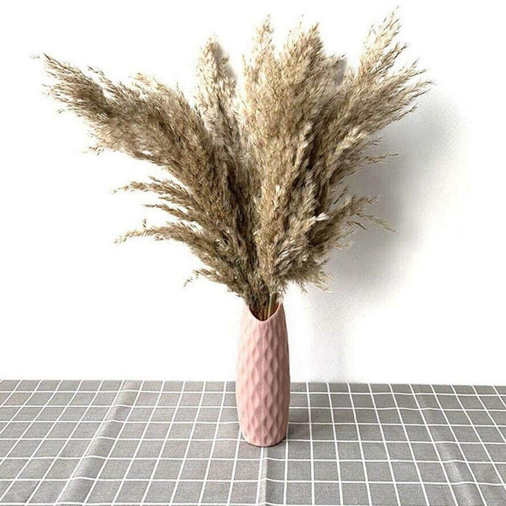 Dried Reed Grass Bouquet, 30 or 50 Stems