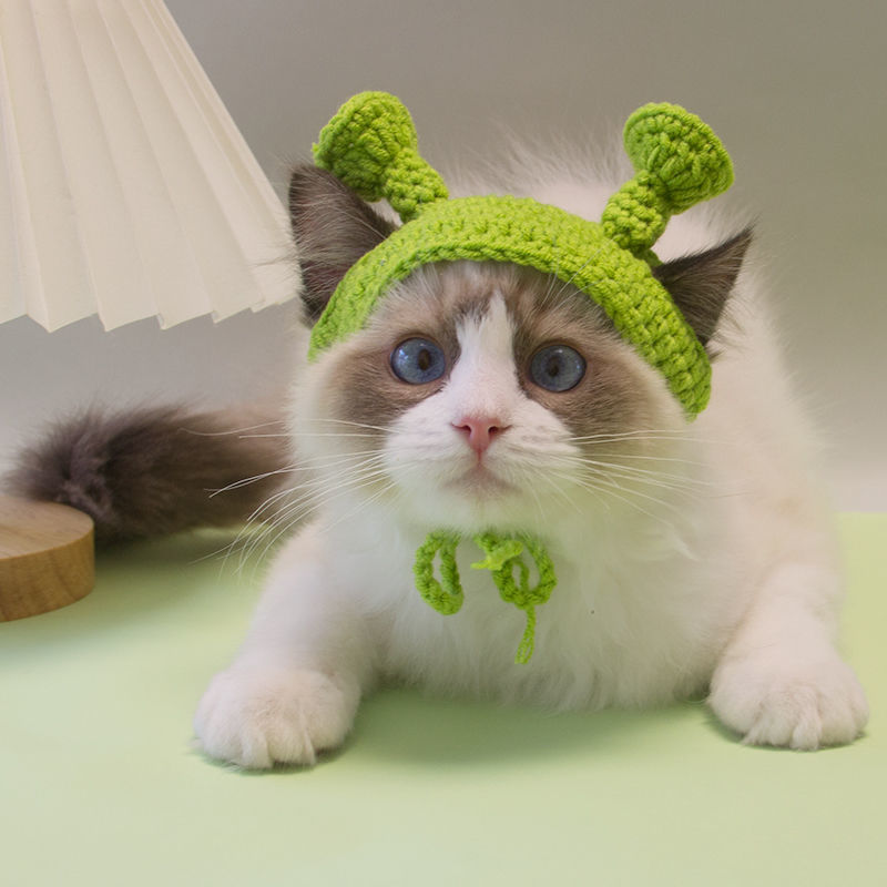 Knitted Cat & Dog Hat