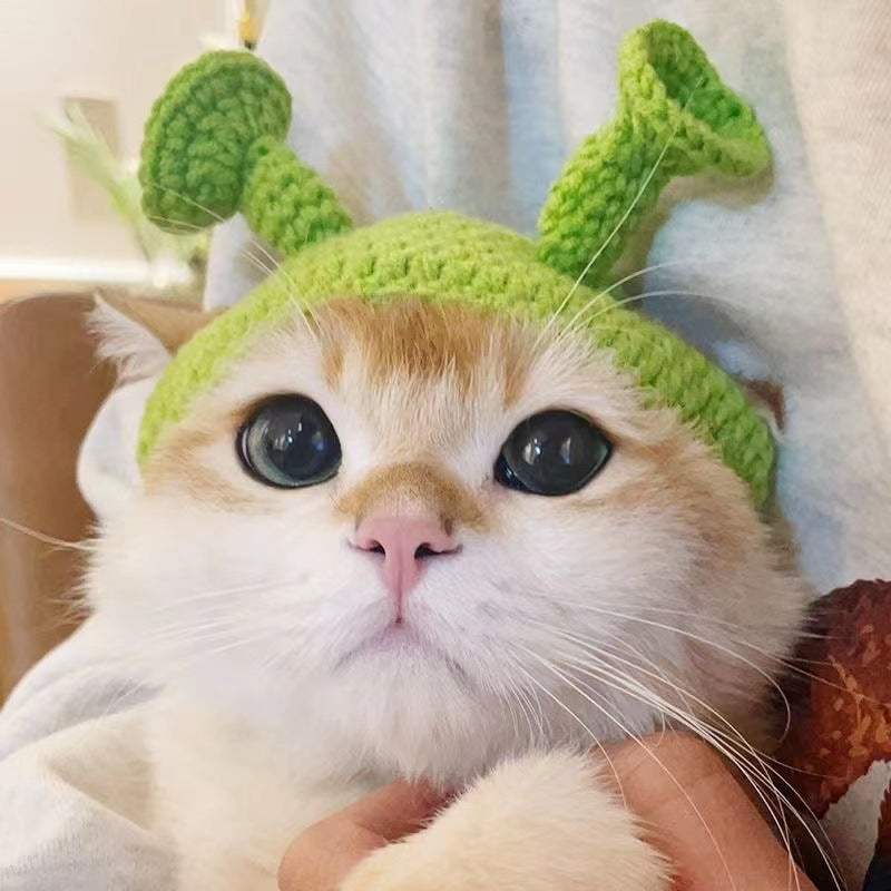 Knitted Cat & Dog Hat